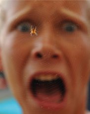 Kind, das Angst vor einer Spinne hat - © dennisjacobsen - Fotolia.com